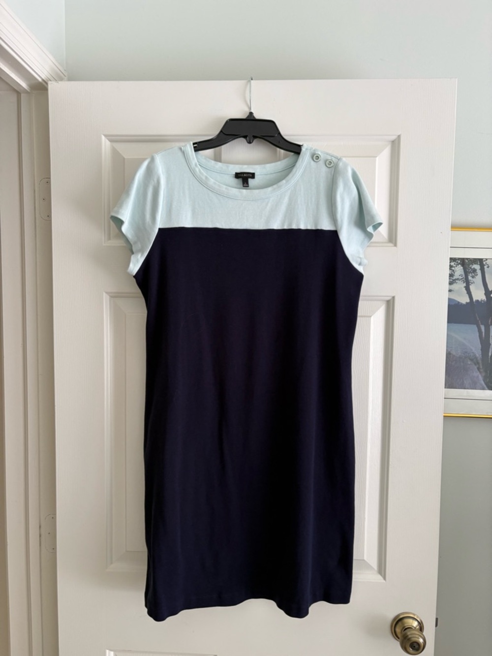 Talbots Mint and Navy Colorblock Crewneck Top